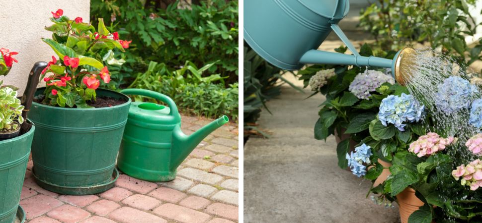 Tuincentrum Tuin! | Bewatering | Gieters | Tuinslangen