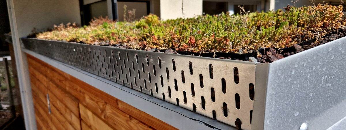 Duurzaam tuinieren - Zo pak je een groen dak of sedumdak aan Duurzaam tuinieren - Zo pak je een groen dak of sedumdak aan