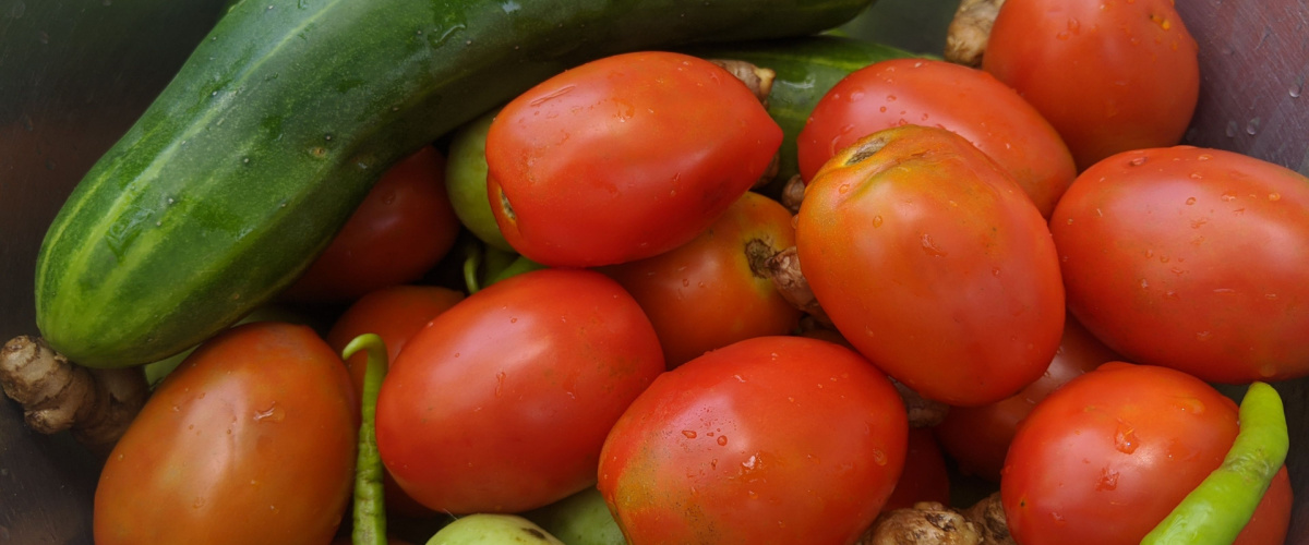 Moestuinbenodigdheden - Tuincentrum Tuin!