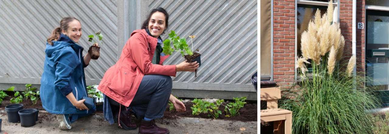 Tuincentrum Tuin! | Het ideale plantseizoen is in de herfst