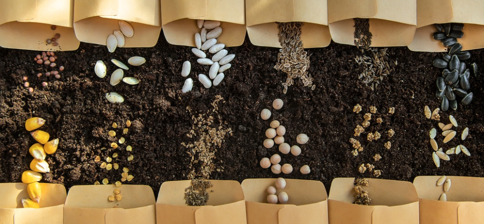 Tuincentrum Tuin! | Zaden