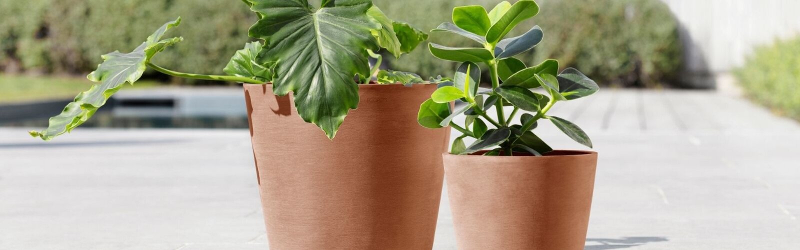 Bloempotten en plantenbakken