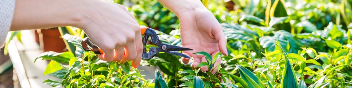 Word jij onze nieuwe collega?