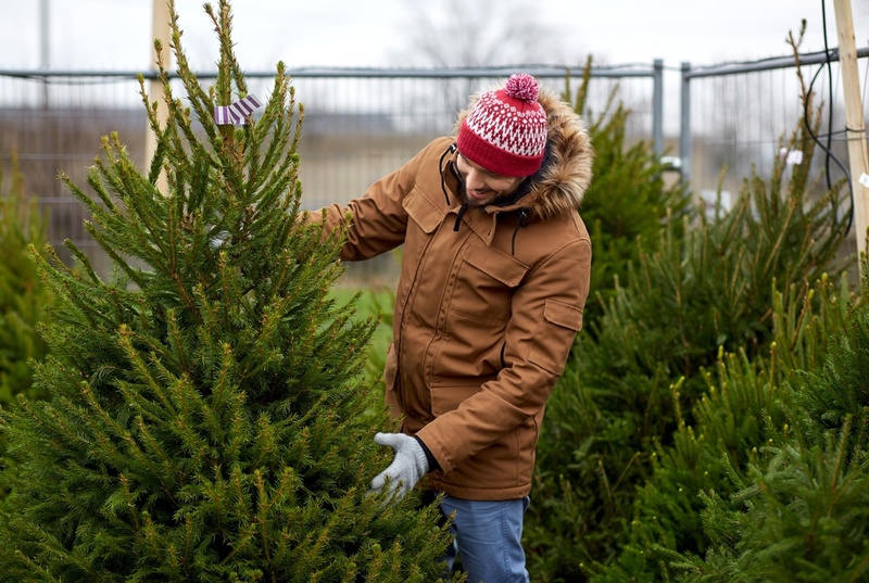 Verhoog jezelf was Handelsmerk Kunstkerstboom of echte kerstboom? - Tuincentrum Tuin! in Zwaagwesteinde