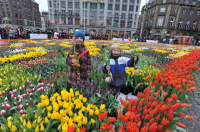 19 januari: feestelijke start van het tulpenseizoen