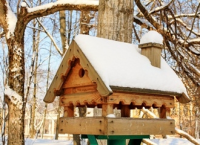 Vogelhuisjes ophangen