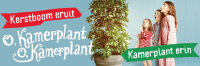 Kerstboom eruit? Kamerplant erin!