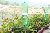 Planten watergeven met een plastic fles