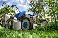 Wat te doen in de tuin in mei?