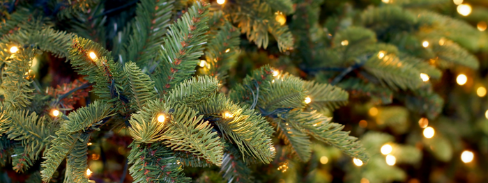 20% korting op alle kerstverlichting*