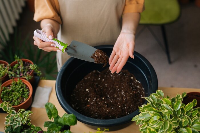 Bemeste tuinaarde