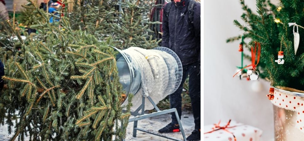 Tuincentrum Tuin! in Leeuwarden en Zwaagwesteinde | Kerstartikelen | Kerstshow